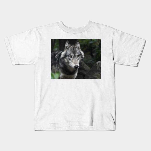 Wolf Kids T-Shirt by kawaii_shop